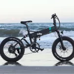 Fiido M21 Fat Tire Electric Bike with Torque Sensor - Beach