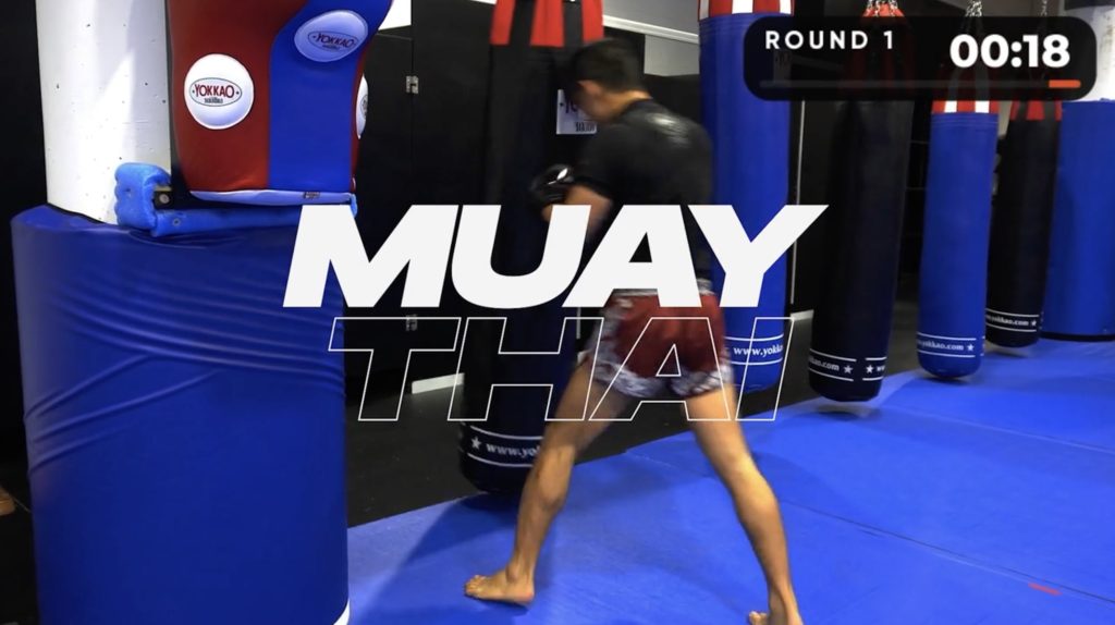 MMAShredded Video Series - Muay Thai